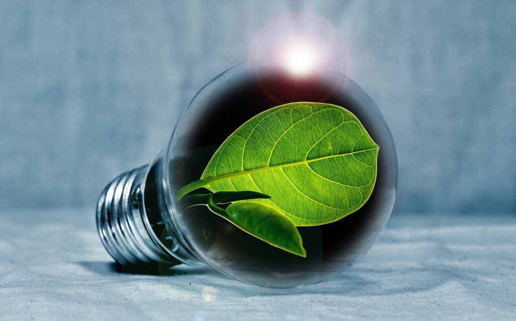 L'énergie verte c'est quoi ? Ampoule verte 