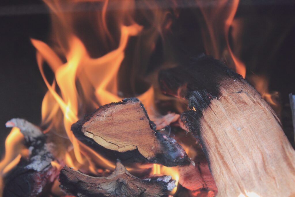 Prix de l'électricité : chauffage au bois ?
